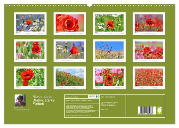 Produktbild: Mohn, zarte Bl&uuml;ten, starke Farben (hochwertiger Premium Wandkalender 2026 DIN A2 quer), Kunstdruck in Hochglanz