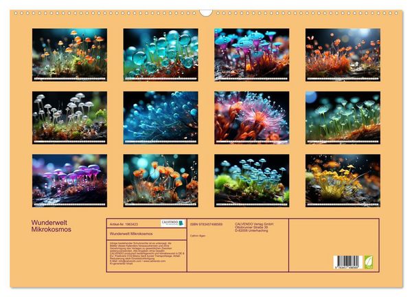 Produktbild: Wunderwelt Mikrokosmos (Wandkalender 2026 DIN A2 quer), CALVENDO Monatskalender