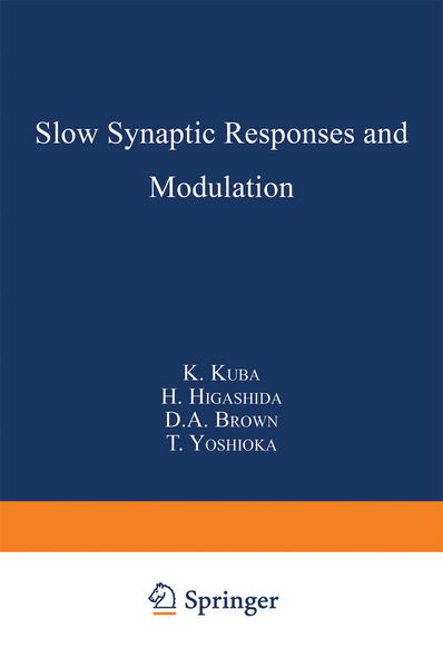 Produktbild: Slow Synaptic Responses and Modulation