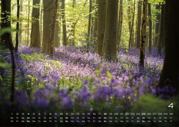 Produktbild: Wald - Erholung f&uuml;r Mensch und Tier - 2027 - Kalender DIN A3