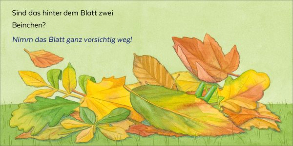Produktbild: Wer hat sich denn hier versteckt?