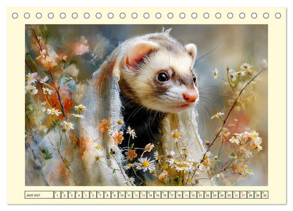 Produktbild: Frettchen. Kleine Wusel im Cottage-Garten (Tischkalender 2027 DIN A5 quer), CALVENDO Monatskalender
