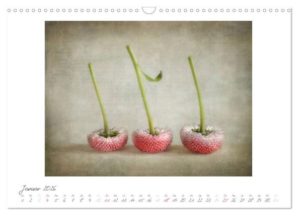 Produktbild: Vintage Flowers (Wandkalender 2026 DIN A3 quer), CALVENDO Monatskalender