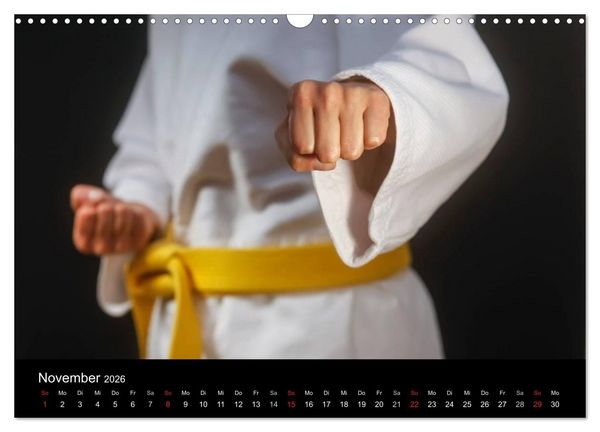Produktbild: Kampfsport (Wandkalender 2026 DIN A3 quer), CALVENDO Monatskalender