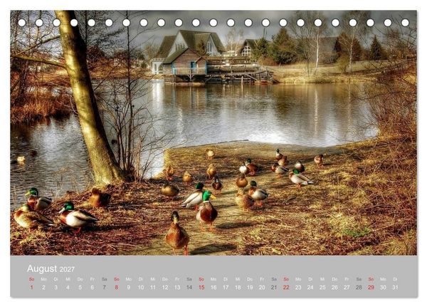 Produktbild: M&uuml;hlenmuseum Gifhorn (Tischkalender 2027 DIN A5 quer), CALVENDO Monatskalender
