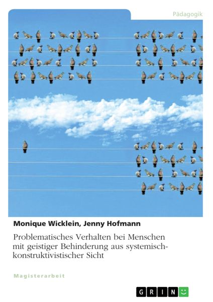 Produktbild: Problematisches Verhalten bei Menschen mit geistiger Behinderung aus systemisch-konstruktivistischer Sicht