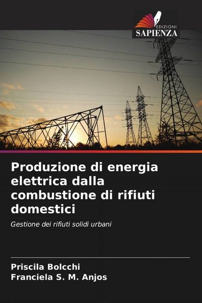 Produktbild: Produzione di energia elettrica dalla combustione di rifiuti domestici