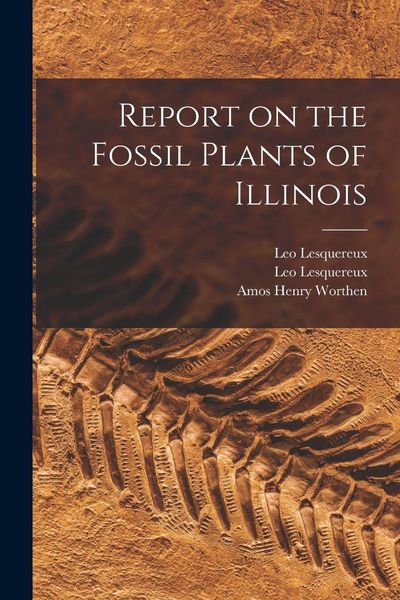 Produktbild: Report on the Fossil Plants of Illinois