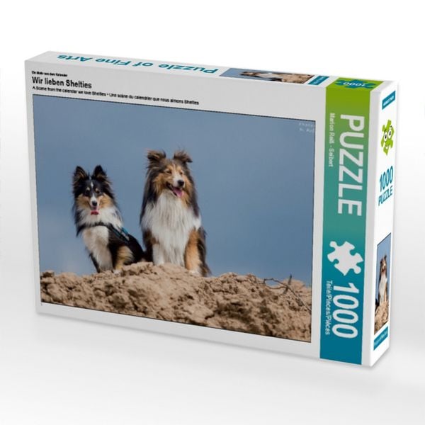 CALVENDO Puzzle Ein Motiv aus dem Kalender Wir lieben Shelties | 1000 Teile Lege-Größe 64x48cm Foto-Puzzle für glückliche Stunden