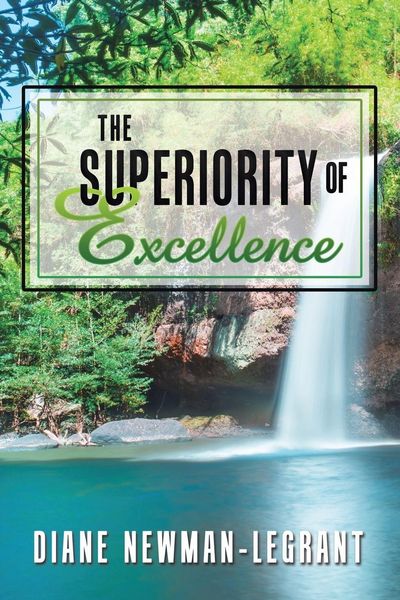 Produktbild: The Superiority of Excellence