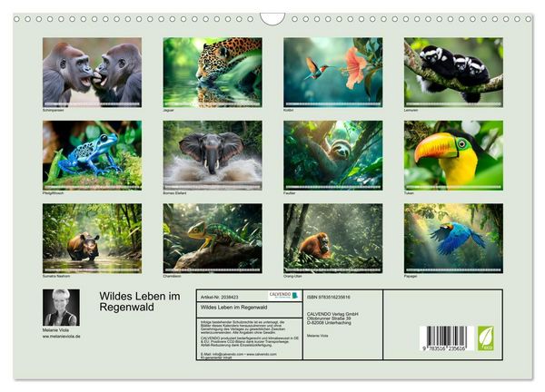 Produktbild: Wildes Leben im Regenwald (Wandkalender 2026 DIN A3 quer), CALVENDO Monatskalender
