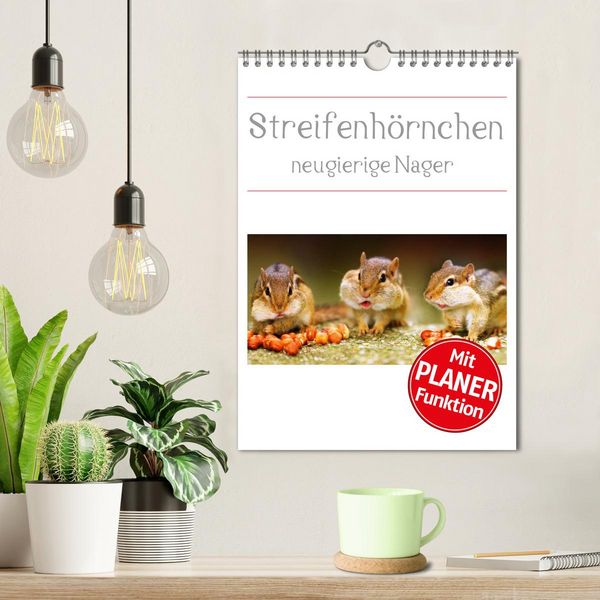 Produktbild: Streifenh&ouml;rnchen - neugierige Nager (Wandkalender 2026 DIN A4 hoch), CALVENDO Monatskalender