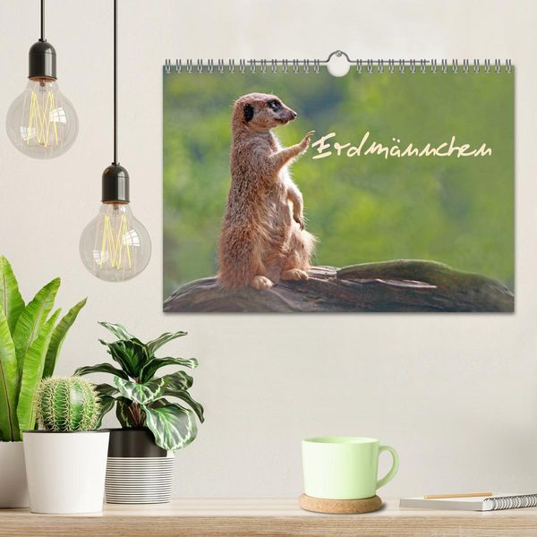 Produktbild: Erdm&auml;nnchen (Wandkalender 2026 DIN A4 quer), CALVENDO Monatskalender