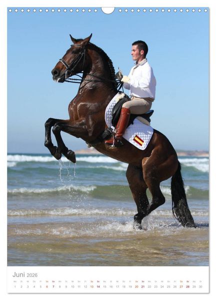 Produktbild: Caballos - Die sch&ouml;nen Pferde Spaniens (Wandkalender 2026 DIN A3 hoch), CALVENDO Monatskalender