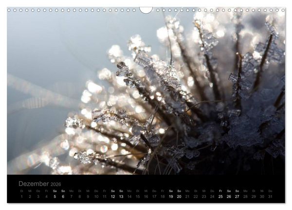 Produktbild: Natur im Detail (Wandkalender 2026 DIN A3 quer), CALVENDO Monatskalender