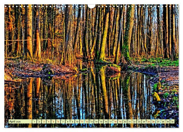 Produktbild: Verwunschene Waldtr&auml;ume: Ein Kalender voller Magie (Wandkalender 2026 DIN A3 quer), CALVENDO Monatskalender