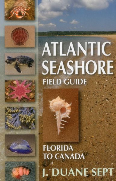Produktbild: Atlantic Seashore Field Guide