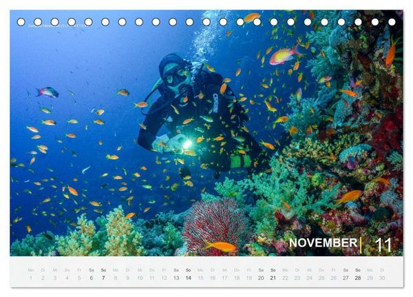 Produktbild: Die sch&ouml;nsten Korallenriffe zum Tauchen in &Auml;gypten (Tischkalender 2027 DIN A5 quer), CALVENDO Monatskalender