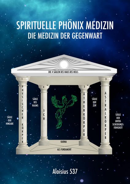 Produktbild: Spirituelle Ph&ouml;nix Medizin