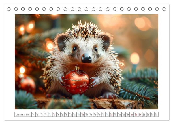 Produktbild: Lustige Igel (Tischkalender 2026 DIN A5 quer), CALVENDO Monatskalender