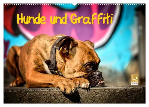 Produktbild: Hunde und Graffiti (Wandkalender 2026 DIN A2 quer), CALVENDO Monatskalender