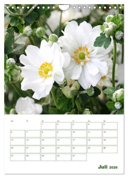 Produktbild: Wei&szlig;e Bl&uuml;ten im Gr&uuml;nen (Wandkalender 2026 DIN A4 hoch), CALVENDO Monatskalender
