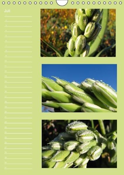 Produktbild: Zauberwelt der Blumen - Eiskristalle & Wasserperlen / Geburtstagskalender (Wandkalender immerw&auml;hrend DIN A4 hoch)
