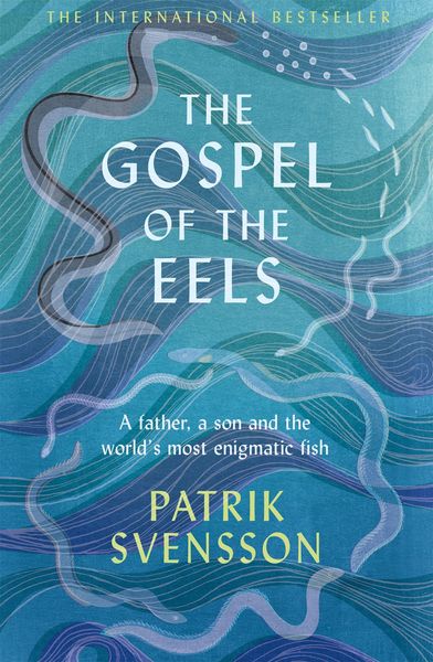 Produktbild: The Gospel of the Eels