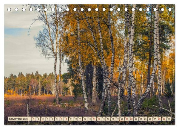 Produktbild: Herbst im Schwenninger Moos (Tischkalender 2026 DIN A5 quer), CALVENDO Monatskalender