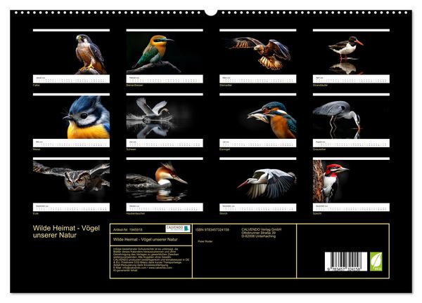 Produktbild: Wilde Heimat - V&ouml;gel unserer Natur (hochwertiger Premium Wandkalender 2026 DIN A2 quer), Kunstdruck in Hochglanz