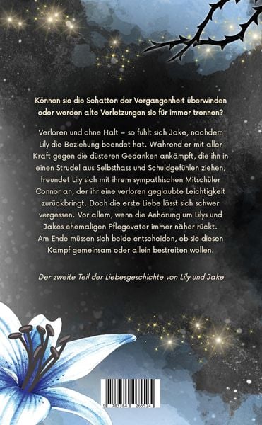Produktbild: Haltlos - Lily und Jake