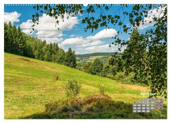 Produktbild: Markneukirchen - Musik & Landschaft einer Region (Wandkalender 2026 DIN A2 quer), CALVENDO Monatskalender