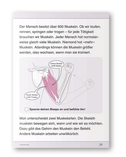 Produktbild: Ich kenne meinen K&ouml;rper - 3 Arbeitshefte im Set