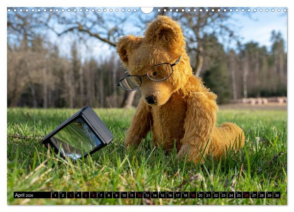 Produktbild: Neue Abenteuer von Teddy Basse (Wandkalender 2026 DIN A3 quer), CALVENDO Monatskalender