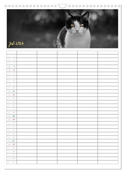 Produktbild: Miezekatzen Planungskalender (Wandkalender 2026 DIN A3 hoch), CALVENDO Monatskalender