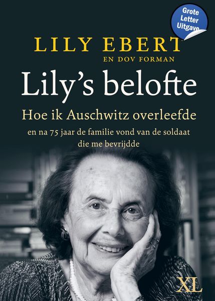 Produktbild: Lily's belofte