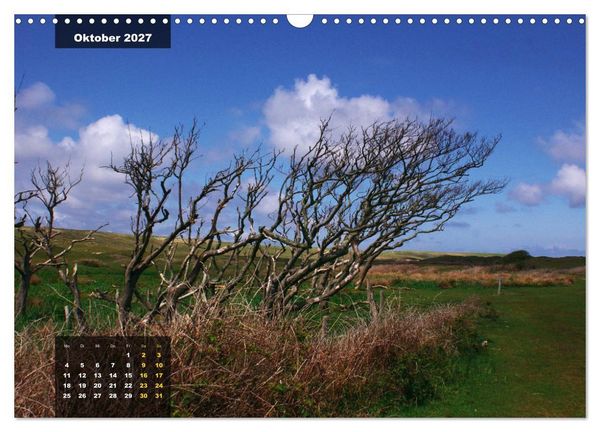Produktbild: Texel Insel mit Charakter (Wandkalender 2027 DIN A3 quer), CALVENDO Monatskalender