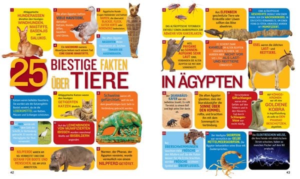 Produktbild: 1000 Fakten über das alte Ägypten