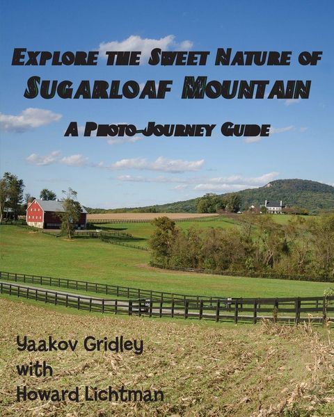 Produktbild: Explore the Sweet Nature of Sugarloaf Mountain