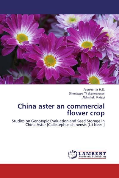 Produktbild: China aster an commercial flower crop