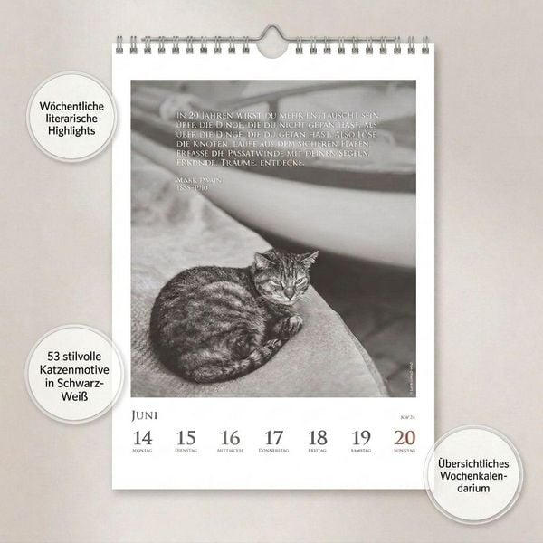 Produktbild: DUMONTS Katzenkalender 2027