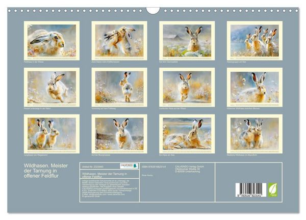 Produktbild: Wildhasen. Meister der Tarnung in offener Feldflur (Wandkalender 2027 DIN A3 quer), CALVENDO Monatskalender