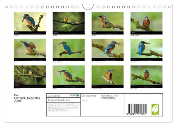 Produktbild: Der Eisvogel...fliegendes Juwel (Wandkalender 2026 DIN A4 quer), CALVENDO Monatskalender