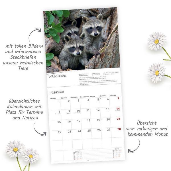 Produktbild: TR&Ouml;TSCH - Brosch&uuml;renkalender Heimische Tierwelt 2027