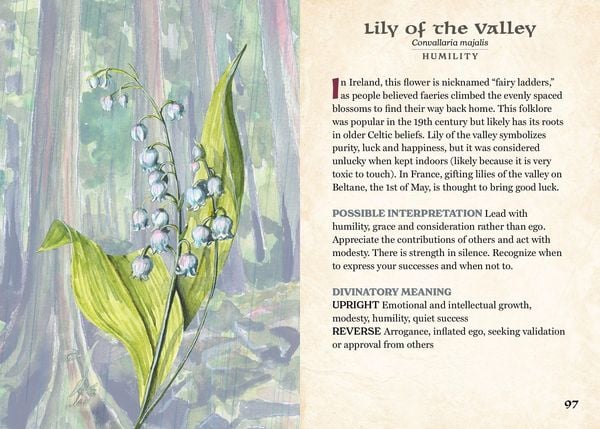 Produktbild: Herbalist's Oracle
