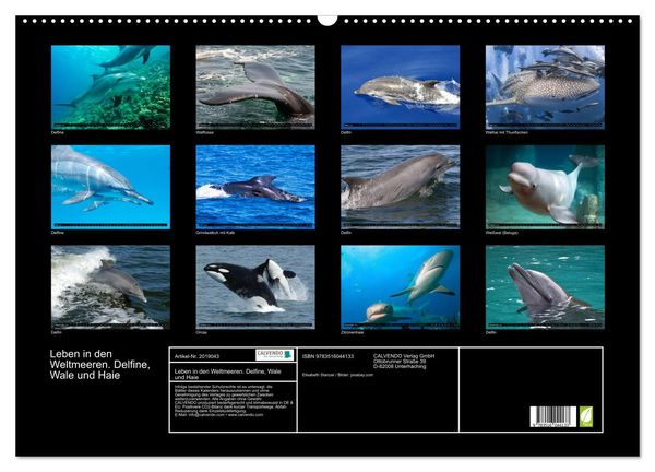 Produktbild: Leben in den Weltmeeren. Delfine, Wale und Haie (Wandkalender 2026 DIN A2 quer), CALVENDO Monatskalender