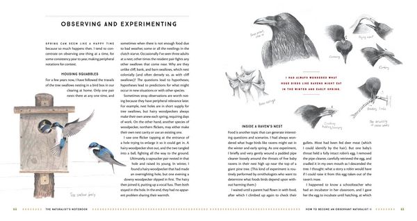 Produktbild: The Naturalist's Notebook