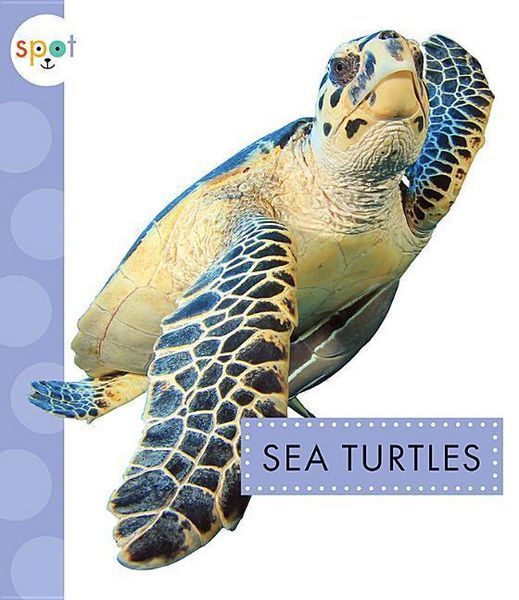 Produktbild: Sea Turtles