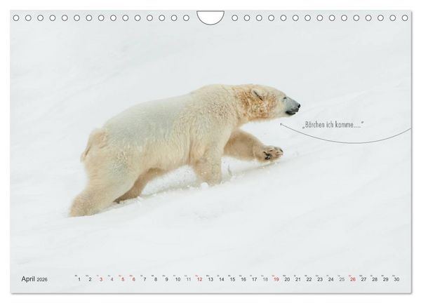 Produktbild: Emotionale Momente: Eisb&auml;ren - ganz menschlich gesehen. (Wandkalender 2026 DIN A4 quer), CALVENDO Monatskalender