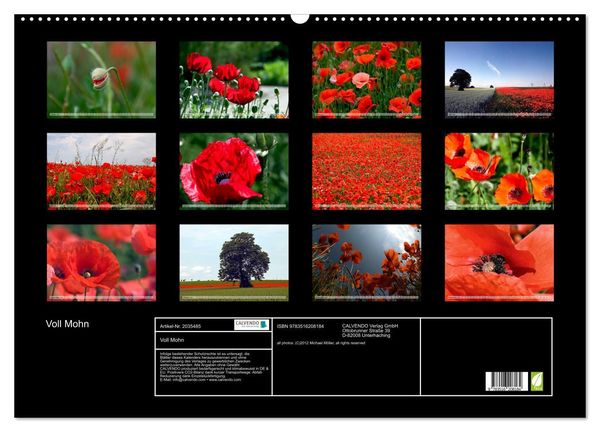 Produktbild: Voll Mohn (Wandkalender 2026 DIN A2 quer), CALVENDO Monatskalender